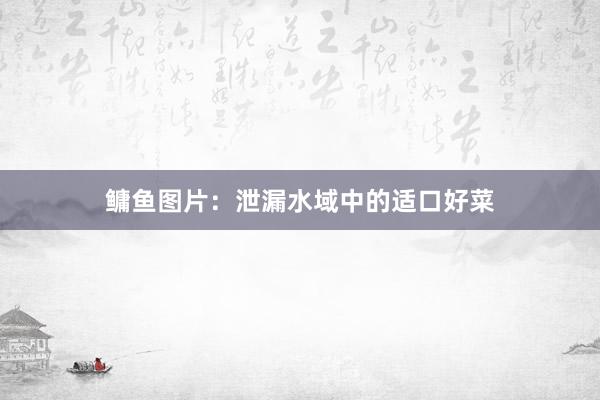 鳙鱼图片：泄漏水域中的适口好菜